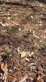 구명회님의 자유주제·자유게시판 작성글 사진