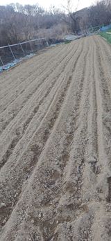 초보퍼머5도2촌준비님의 자유주제·자유게시판 작성글 사진