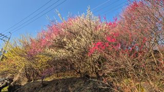 심재연님의 자유주제 · 사진전 작성글 사진