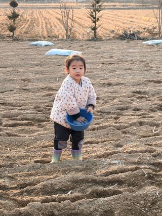 선비 농군님의 자유주제 · 자유게시판 작성글 사진