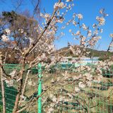 이창화님의 자유주제·자유게시판 작성글 사진