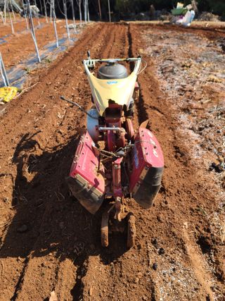 은혜농원(사과농사)님의 자유주제·자유게시판 작성글 사진