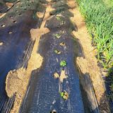 이창화님의 자유주제·자유게시판 작성글 사진