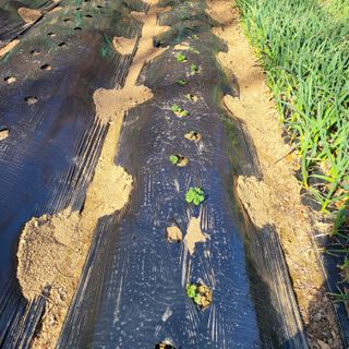 이창화님의 자유주제 · 자유게시판 작성글 사진