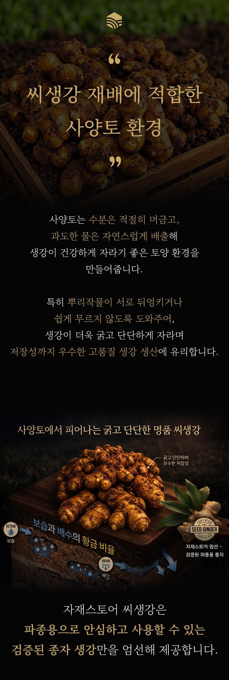 자재스토어님의 장터 판매 상품 [씨생강 생강종자 종자용생강 국산 1kg 3kg 5kg 10kg] 첨부 사진