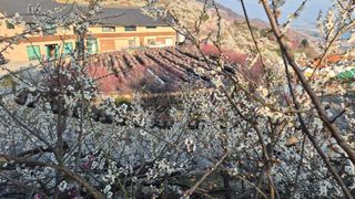 심재연님의 자유주제 · 사진전 작성글 사진