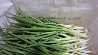 이영미님의 작성글 사진