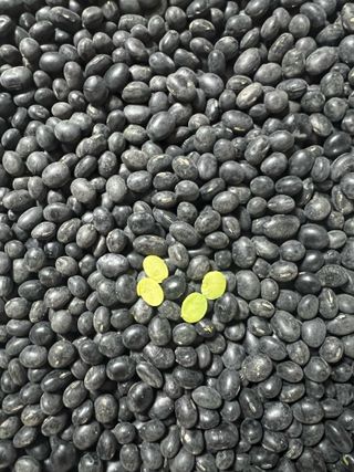 강원도농산물님의 자유주제 · 자유게시판 작성글 사진