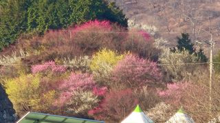 심재연님의 자유주제 · 사진전 작성글 사진