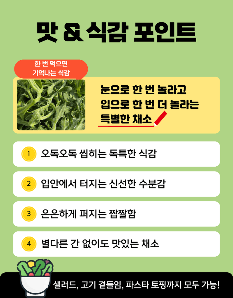 과일팩토리님의 장터 판매 상품 [무농약 아이스플랜트 얼음 맺힌 듯 신기한 채소 500G/1KG] 첨부 사진