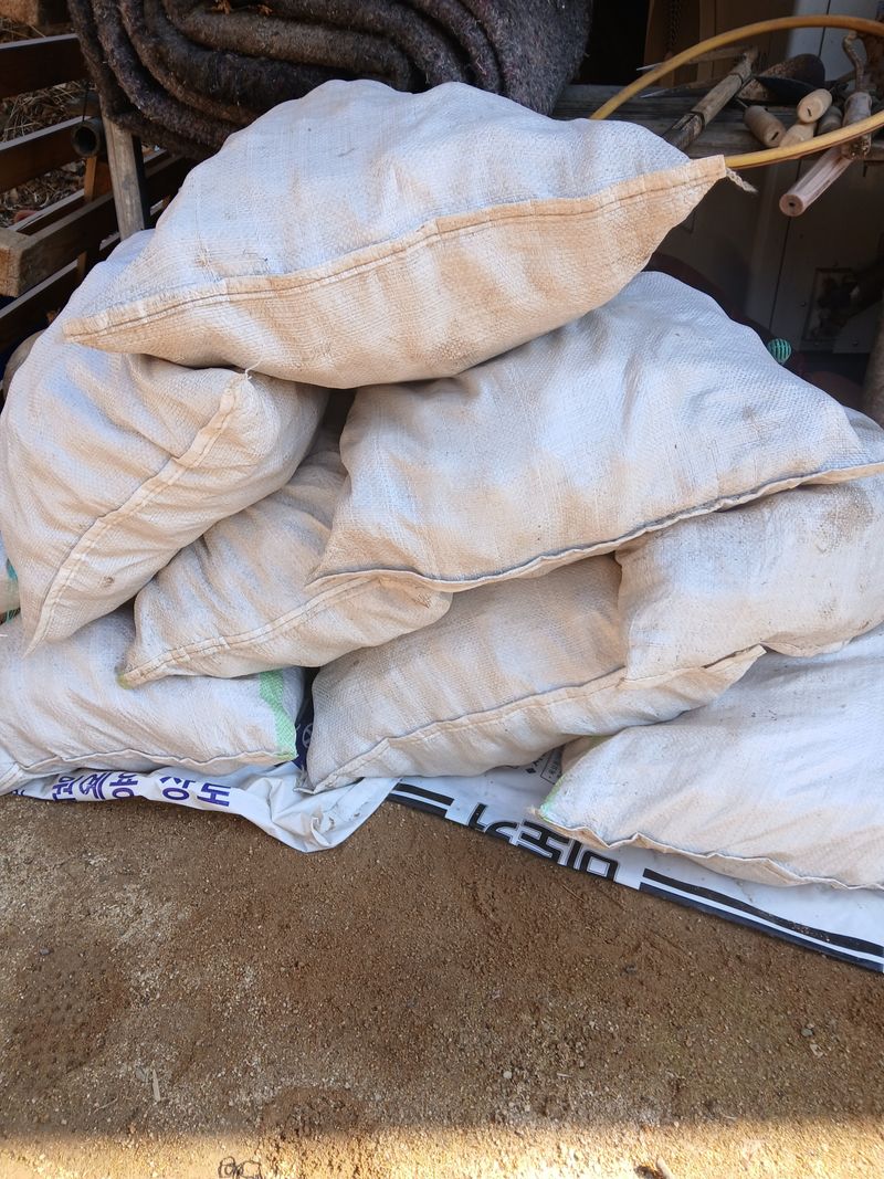 손경식드림농장님의 장터 판매 상품 [감자씨앗 (수미)10키로] 첨부 사진