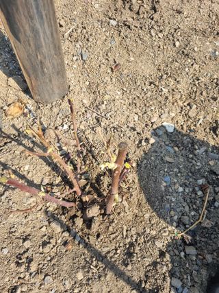 김용대님의 자유주제 · 자유게시판 작성글 사진