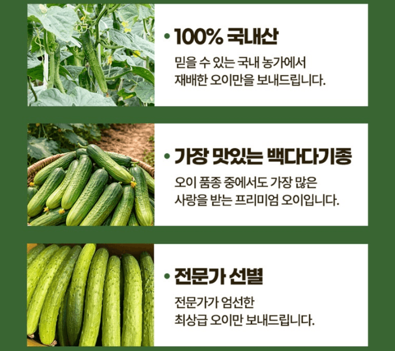 스피드번님의 장터 판매 상품 [백다다기 오이 (백오이)] 첨부 사진