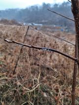 경선님의 자유주제·자유게시판 작성글 사진