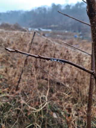 경선님의 자유주제 · 자유게시판 작성글 사진