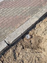 김용대님의 자유주제·자유게시판 작성글 사진