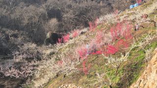 심재연님의 자유주제 · 사진전 작성글 사진