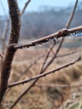 팜모닝 자유주제·자유게시판 게시글 이미지