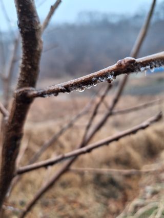 경선님의 자유주제 · 자유게시판 작성글 사진