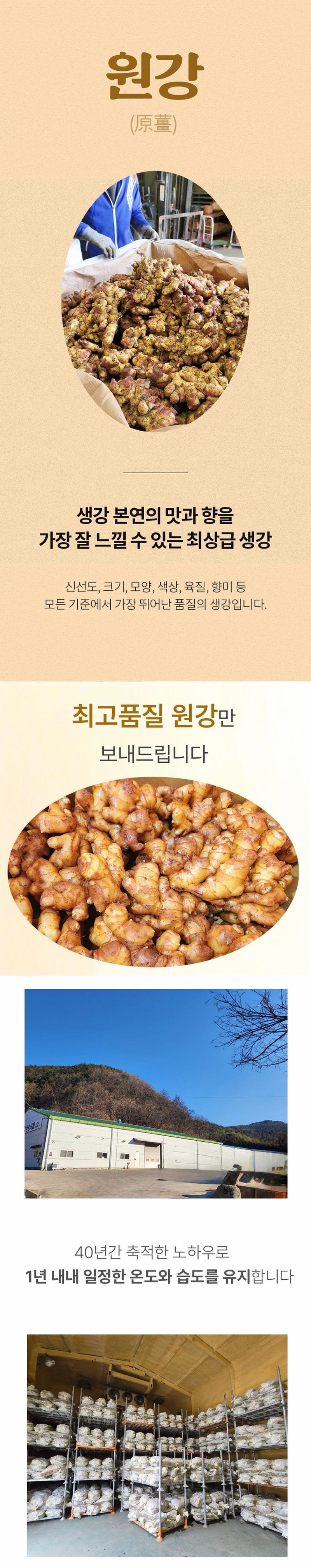 자재스토어님의 장터 판매 상품 [씨생강 생강종자 종자용생강 국산 1kg 3kg 5kg 10kg] 첨부 사진