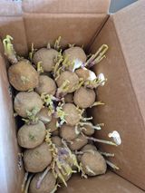 팜모닝 · 게시글 이미지