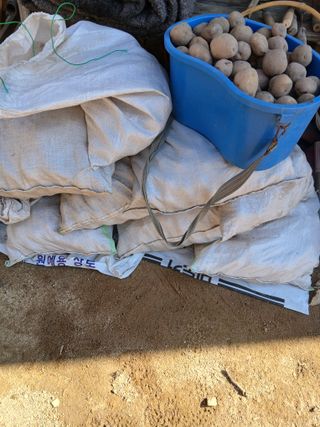 손경식드림농장님의 작성글 사진