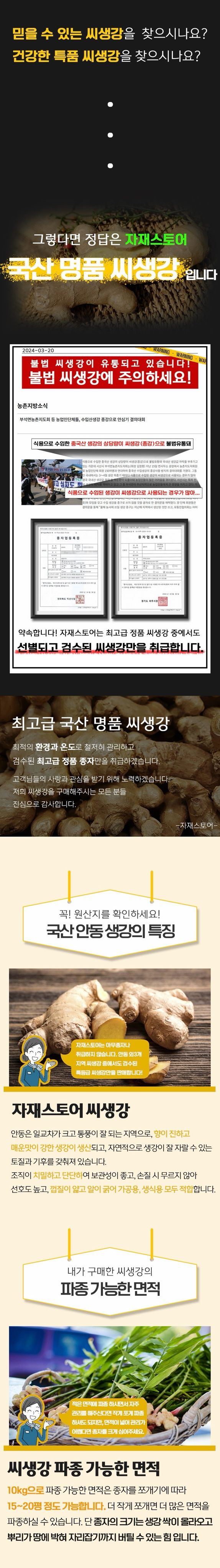 자재스토어님의 장터 판매 상품 [씨생강 생강종자 종자용생강 국산 1kg 3kg 5kg 10kg] 첨부 사진