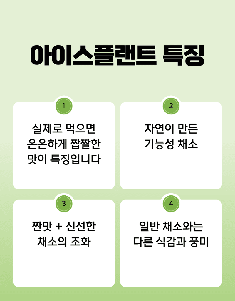 과일팩토리님의 장터 판매 상품 [무농약 아이스플랜트 얼음 맺힌 듯 신기한 채소 500G/1KG] 첨부 사진