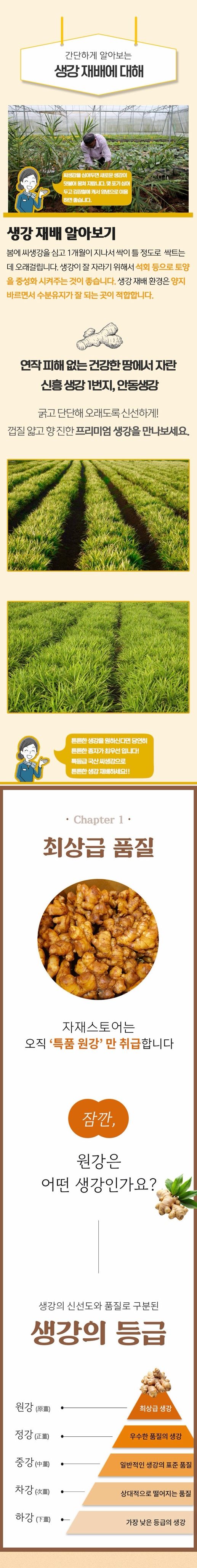 자재스토어님의 장터 판매 상품 [씨생강 생강종자 종자용생강 국산 1kg 3kg 5kg 10kg] 첨부 사진