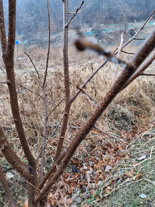 경선님의 자유주제 · 자유게시판 작성글 사진