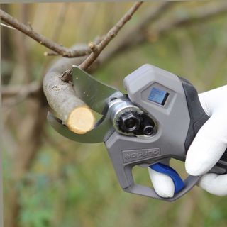 오성오에스씨님의 자유주제 · 자유게시판 작성글 사진