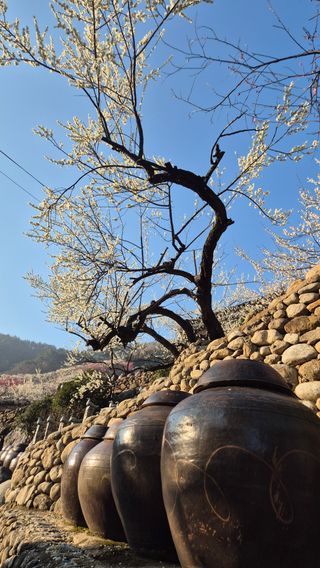 심재연님의 자유주제 · 사진전 작성글 사진