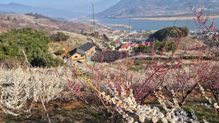 심재연님의 자유주제 · 사진전 작성글 사진