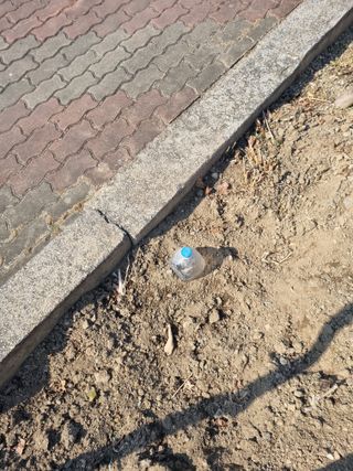 김용대님의 자유주제 · 자유게시판 작성글 사진