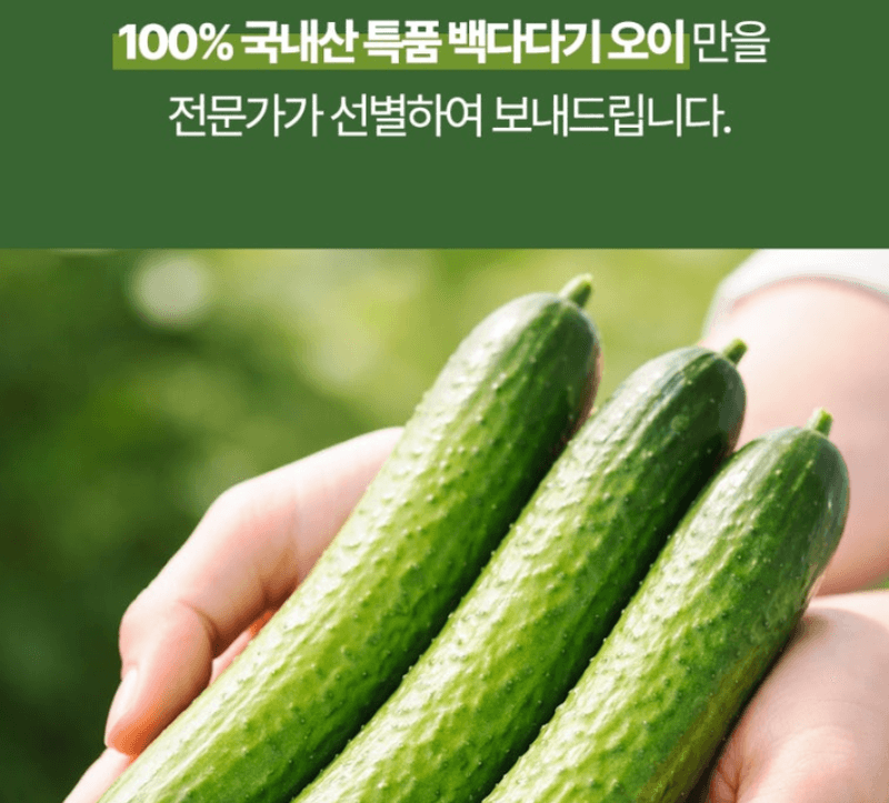 스피드번님의 장터 판매 상품 [백다다기 오이 (백오이)] 첨부 사진