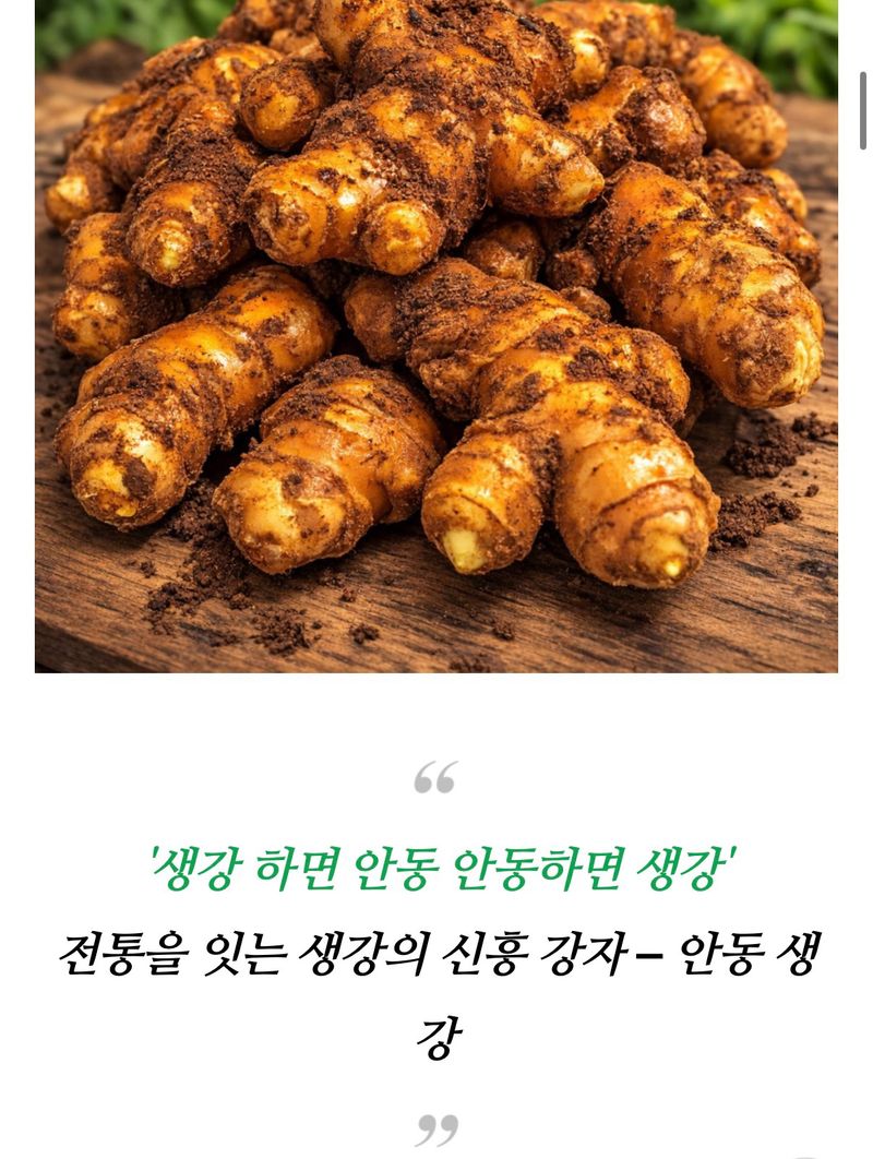 자재스토어님의 장터 판매 상품 [씨생강 생강종자 종자용생강 국산 1kg 3kg 5kg 10kg] 첨부 사진