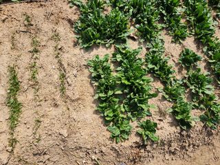 윤성철님의 자유주제 · 자유게시판 작성글 사진