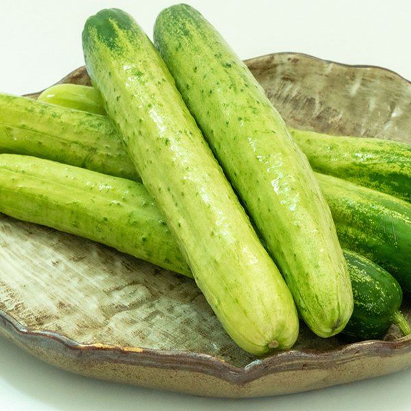 장터 상품 [백다다기 오이 (백오이)] 썸네일