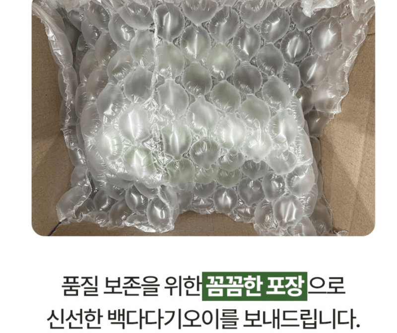 스피드번님의 장터 판매 상품 [백다다기 오이 (백오이)] 첨부 사진
