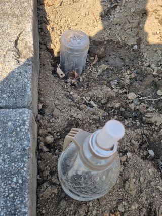 김용대님의 자유주제 · 자유게시판 작성글 사진