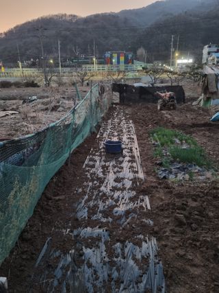 김경일 님의 자유주제 · 자유게시판 작성글 사진