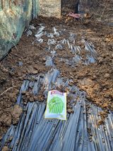 김경일 님의 자유주제·자유게시판 작성글 사진