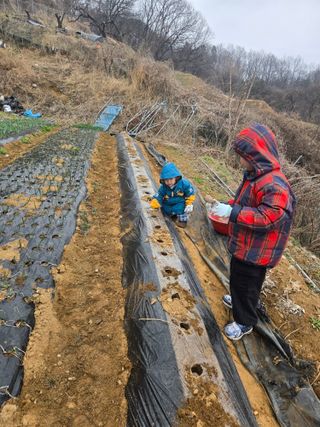 동동이님의 자유주제 · 자유게시판 작성글 사진