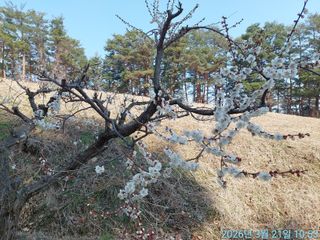 황대헌님의 자유주제 · 자유게시판 작성글 사진