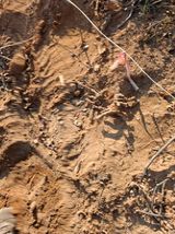 팜모닝 자유주제·자유게시판 게시글 이미지