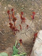 이영자 님의 자유주제·자유게시판 작성글 사진