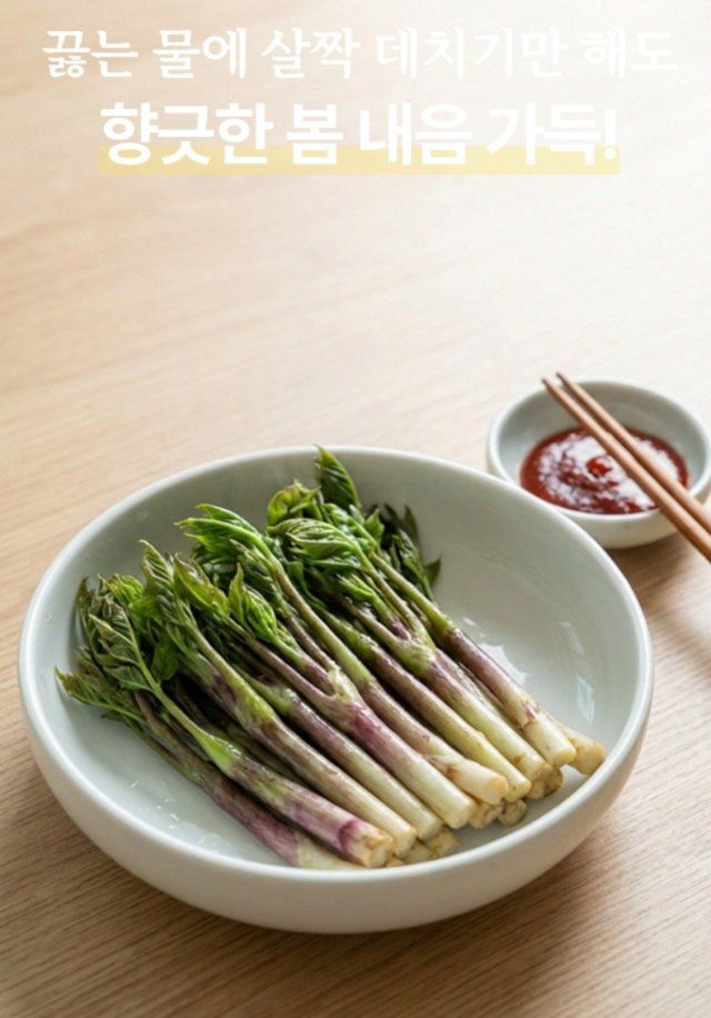 자두14488님의 장터 판매 상품 [땅드릅나물 봄나물 생두릅] 첨부 사진