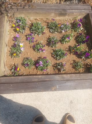 재연농장님의 자유주제 · 자유게시판 작성글 사진