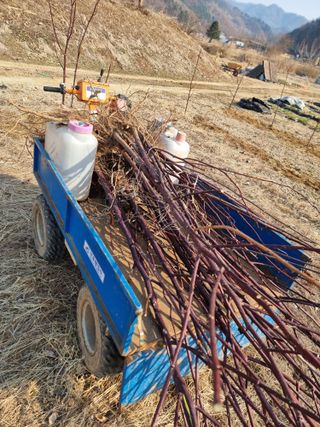 조경준님의 자유주제 · 자유게시판 작성글 사진