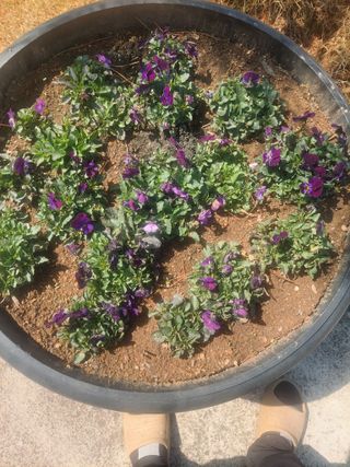 재연농장님의 자유주제 · 자유게시판 작성글 사진